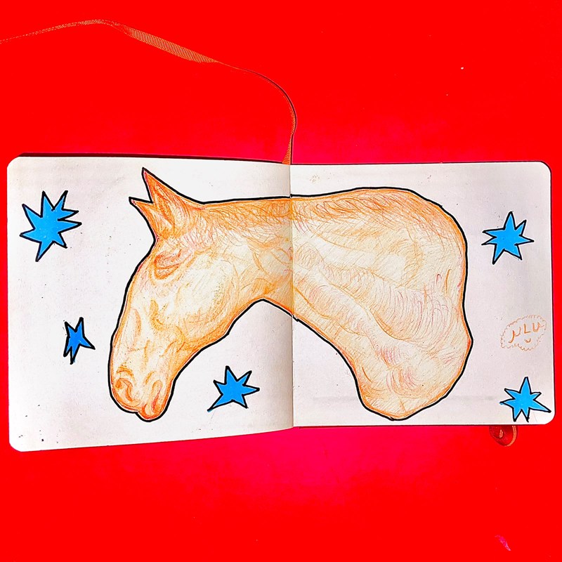 Sketchbook spread with an orange drawing of a horse's head and blue stars around it, on a red table