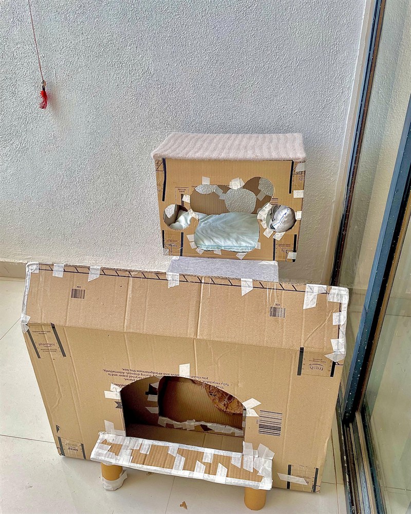 Two-storey cardboard cat house with cut-out windows and taped edges, standing by a window