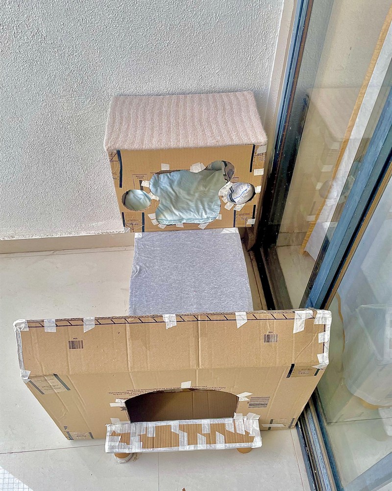 The cardboard house from the side, a blanket in the upper room and a doorway below